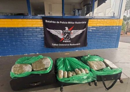 Adolescente é apreendida com R$ 290 mil de skunk em malas de viagem