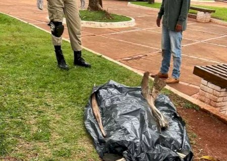 Homem é encontrado morto em praça no interior de MS