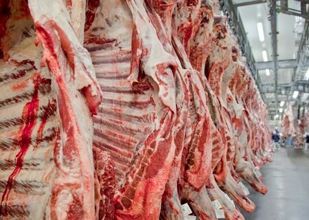 Exportações totais de carne bovina caem 29% na receita e 16% no volume, em fevereiro