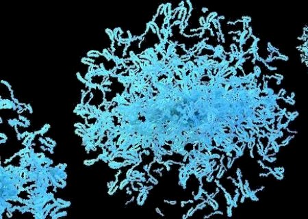 Novo teste é capaz de diagnosticar o Parkinson precocemente