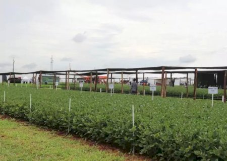 Coamo inaugura em Dourados a primeira Fazenda Experimental no MS