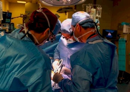 Quem é Leonardo Riella, médico brasileiro que liderou transplante de rim de porco em humano?
