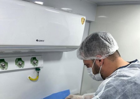 Prefeitura conclui primeira fase do Programa Municipal de Castração Animal