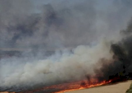 Incêndios: sobe para 11 o número de presos em SP