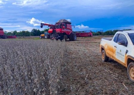 Colheita da soja em MS atinge 67,5% da &aacute;rea cultivada