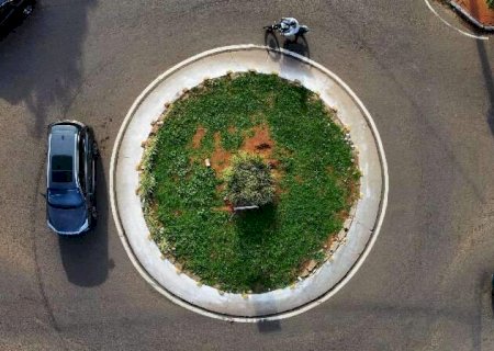 &Aacute;rvores em &aacute;reas urbanas tamb&eacute;m s&atilde;o a solu&ccedil;&atilde;o para combater as "ilhas de calor"