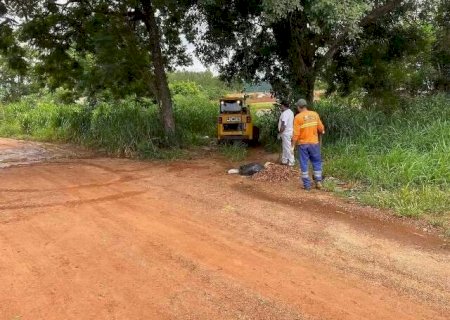 Bonito abre licita&ccedil;&atilde;o para servi&ccedil;os de limpeza urbana e coleta de res&iacute;duos