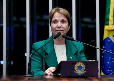 Tereza Cristina defende projeto de reciprocidade em defesa do com&eacute;rcio