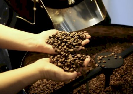 Exportação de café do Brasil cai 33% em maio
