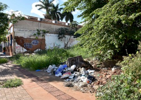 Em menos de 48h, aplicativo recebe mais de 230 denúncias sobre terrenos baldios