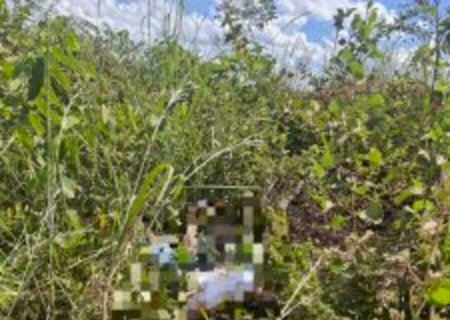 Jovem é torturado e morto com 32 facadas em MS; polícia prende sete suspeitos pelo crime