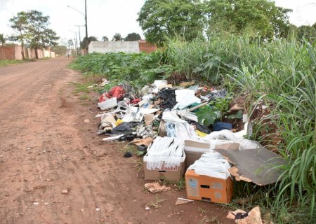 Moradores poderão denunciar terrenos baldios abandonados em tempo real na Capital