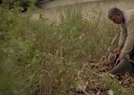 Governo Lula destina mais de R$ 1 milhão para enfrentamento da Chikungunya em Dourados