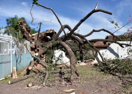 Ventania é o primeiro sinal da chegada da frente fria a MS